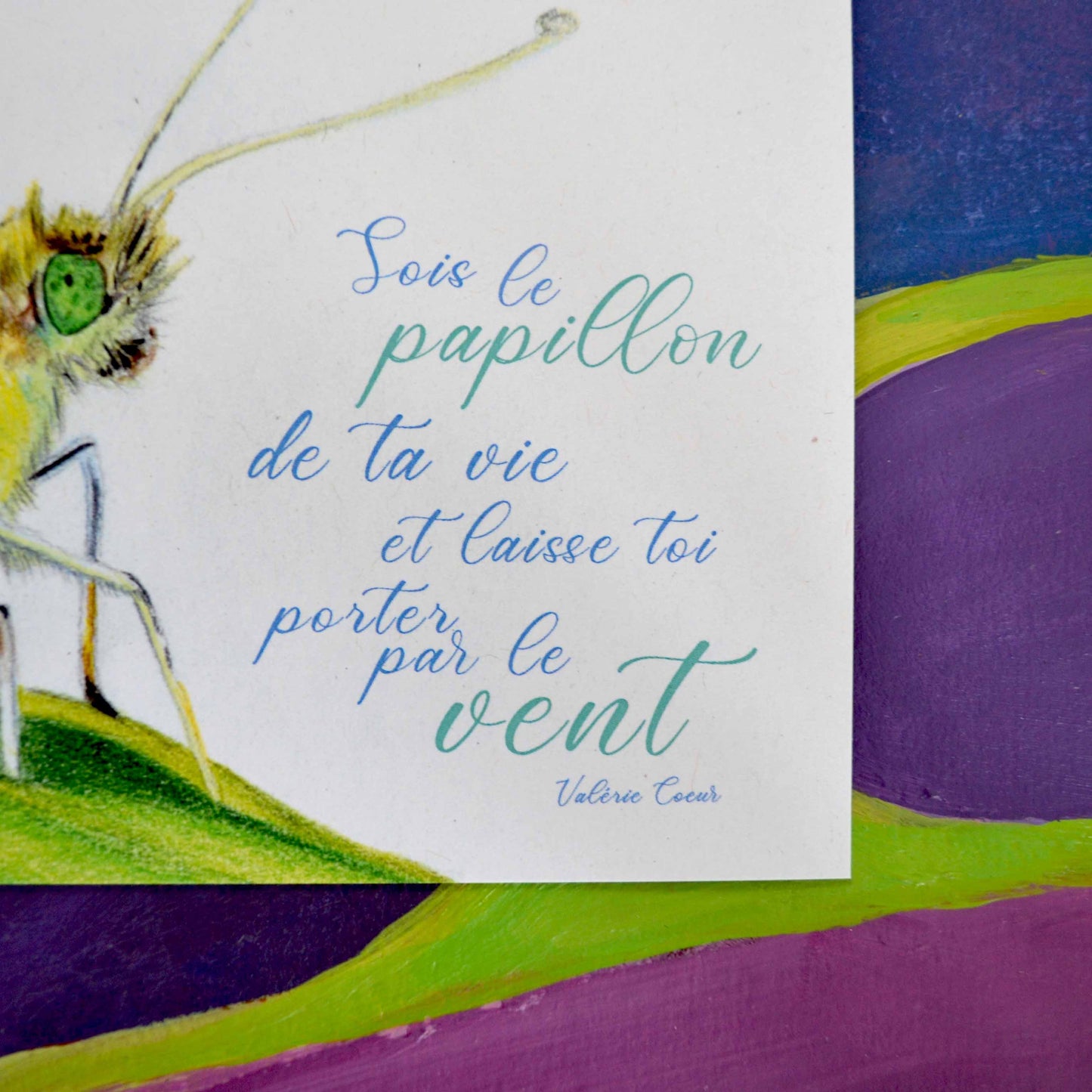 Carte Papillon