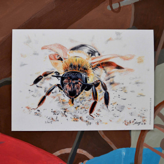 Carte Abeille