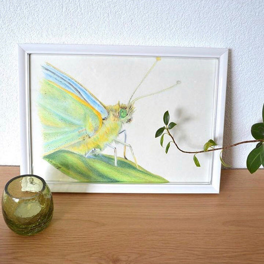 Tableau Papillon
