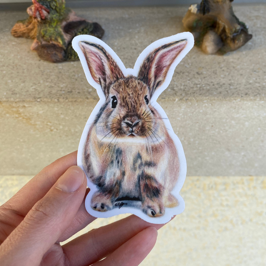 Sticker Lapin