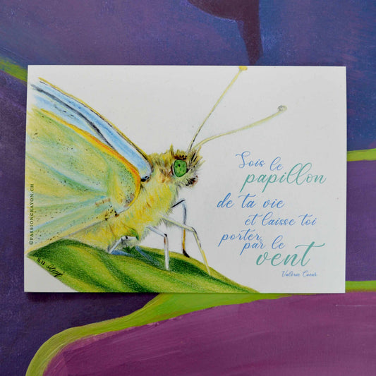 Carte Papillon